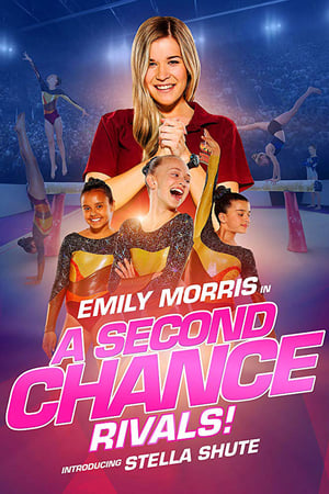 A Second Chance Rivals! 2019 Hindi Dual Audio [820MB] Movie Poster