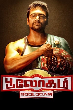 Bhaigiri 2 2018 Hindi Dubbed 350MB Movie Poster