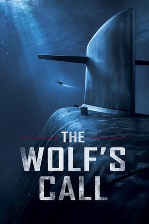 Call (2020) Hindi Dual Audio 400MB Movie Poster