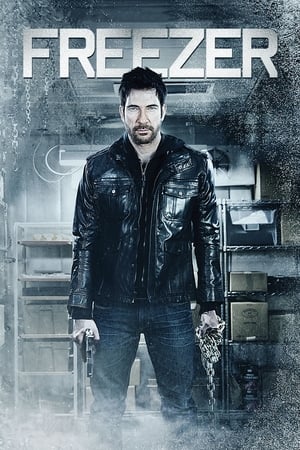 Freezer (2014) Hindi Dual Audio 250MB Movie Poster