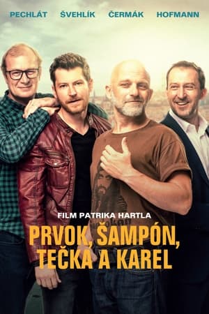 Friendship (2021) Hindi Movie – [400MB] Movie Poster