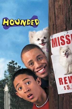 Hounded 2001 Hindi Dual Audio [1.1GB] Movie Poster
