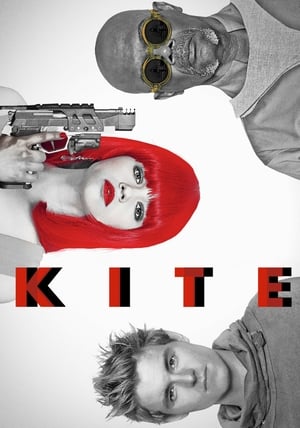 Kite 2014 Dual Audio Hindi Movie - 1GB Movie Poster
