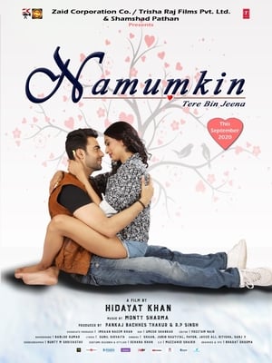 Namumkin Tere Bin Jeena 2020 Movie – [300MB] Movie Poster