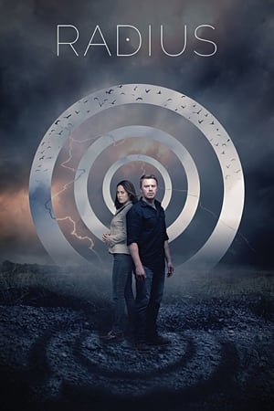Radius (2017) Hindi Dual Audio 300MB Movie Poster