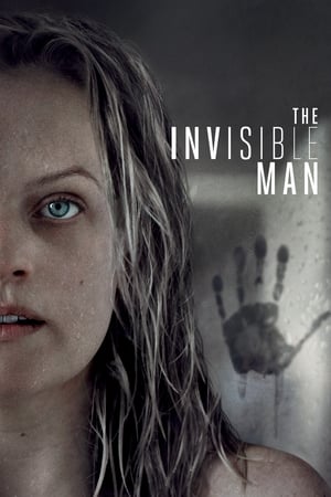 The Invisible Man (2020) Hindi (ORG) Dual Audio 400MB Movie Poster