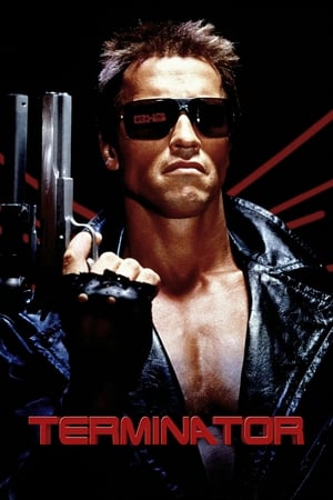 The Terminator (1984) Hindi Dual Audio 380MB Movie Poster